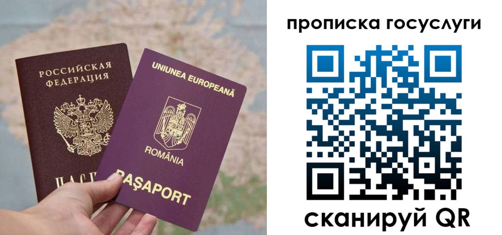 прописка паспорт в Наволоках
